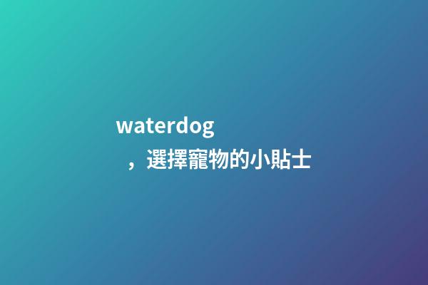waterdog，選擇寵物的小貼士